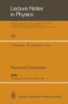 Image for Numerical Combustion