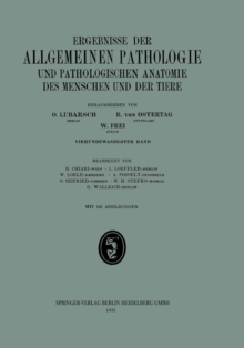 Image for Ergebnisse der allgemeinen Pathologie und pathologischen Anatomie : 24. Band