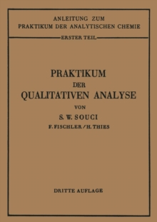 Image for Praktikum der qualitativen Analyse