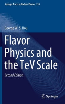Image for Flavor Physics and the TeV Scale