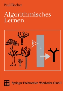 Image for Algorithmisches Lernen.