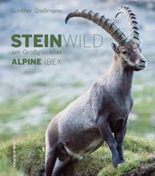 Image for Alpine Ibex : Steinwild Am Großglockner