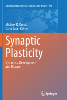 Image for Synaptic Plasticity : Dynamics, Development and Disease