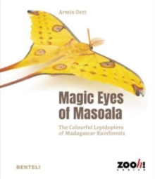 Image for Magic Eyes of Masoala