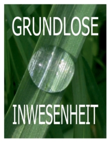 Image for Grundlose Inwesenheit : 22 Ekstatische Essays 1992-2015