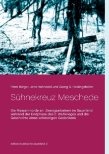 Image for Suhnekreuz Meschede