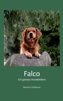 Image for Falco