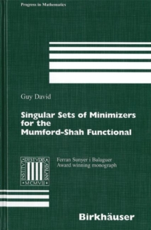 Image for Singular Sets of Minimizers for the Mumford-Shah Functional