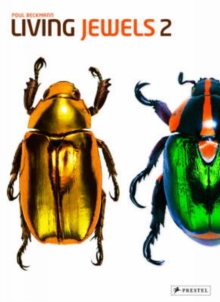 Image for Living jewels 2  : the magical design of beetles