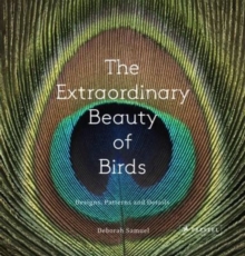 Image for The extraordinary beauty of birds  : designs, patterns and details