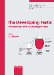 Image for The Developing Testis : Physiology and Pathophysiology