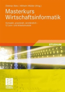 Image for Masterkurs Wirtschaftsinformatik
