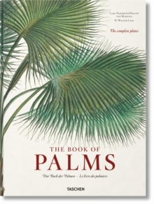 Image for Martius. The Book of Palms