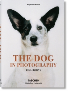 Image for The dog in photography 1839-today