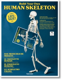 Build Your Own Human Skeleton - Life Size!