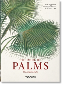 Image for The book of palms