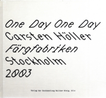 Image for Carsten Holler : One Day One Day