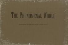 Image for The phenomenal world
