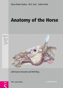 Image for Anatomy of the Horse