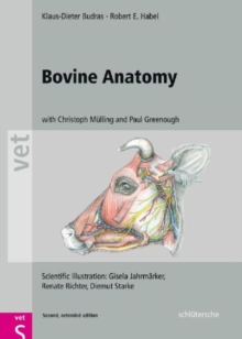 Image for Bovine Anatomy