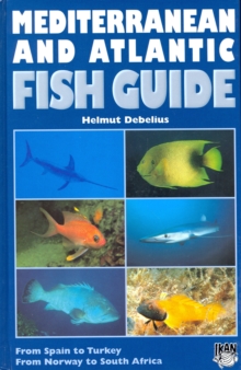 Image for Mediterranean and Atlantic Fish Guide