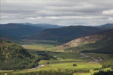 Image for Alec Finlay - Gathering. A Place Aware Guide To The Cairngorms