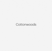 Robert Adams: Cottonwoods