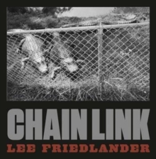 Image for Lee Friedlander: Chain Link