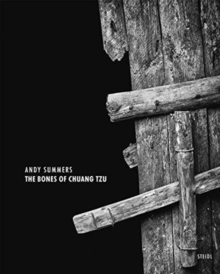 Andy Summers: The Bones of Chuang Tzu