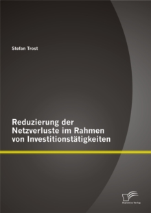 Image for Reduzierung der Netzverluste im Rahmen von Investitionstatigkeiten