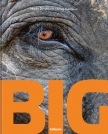 Image for Big  : a photographic album of the world's largest animals