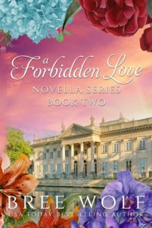 Image for A Forbidden Love Novella Series