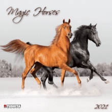 Image for MAGIC HORSES 2021