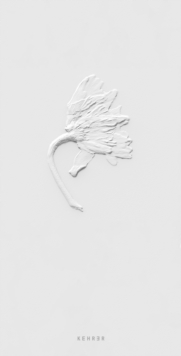 Image for Ephemeral Field Journal