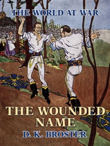 Image for Wounded Name