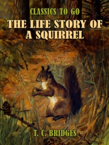 Image for Life Story of A Squirrel
