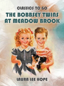 Image for Bobbsey Twins At Meadow Brook
