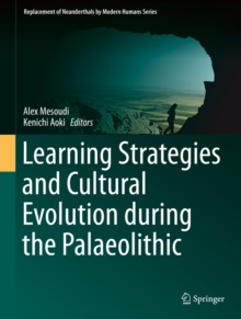 Image for Learning Strategies and Cultural Evolution during the Palaeolithic