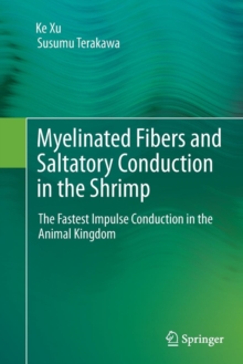 Image for Myelinated fibers and saltatory conduction in the shrimp  : the fastest impulse conduction in the animal kingdom
