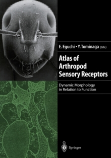 Image for Atlas of Arthropod Sensory Receptors : Dynamic Morphology in Relation to Function