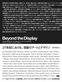 Image for Beyond the display  : phenomental art and design in the 21st century