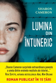 Image for Lumina Din Intuneric