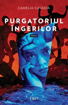 Image for Purgatoriul ingerilor