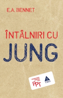 Image for Intalniri cu Jung