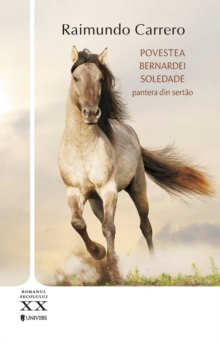 Image for Povestea Bernardei Soledad (Romanian edition)