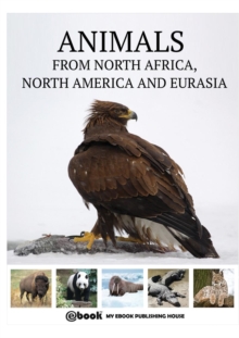 Image for Animals from North Africa, North America and Eurasia