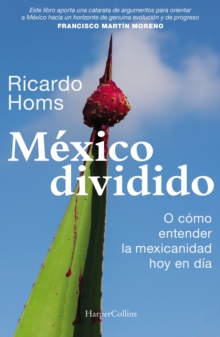 Image for Mexico dividido
