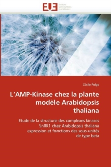 Image for L Amp-Kinase Chez La Plante Mod le Arabidopsis Thaliana