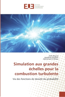 Image for Simulation aux grandes echelles pour la combustion turbulente