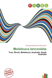 Image for Melaleuca Lanceolata